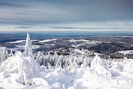 Blick vom Feldberg