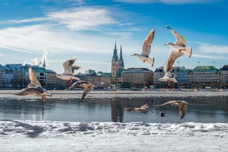 Hamburg im Winter