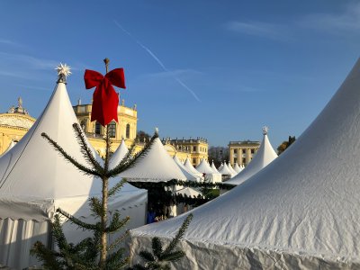 Winterzauber in Kassel
