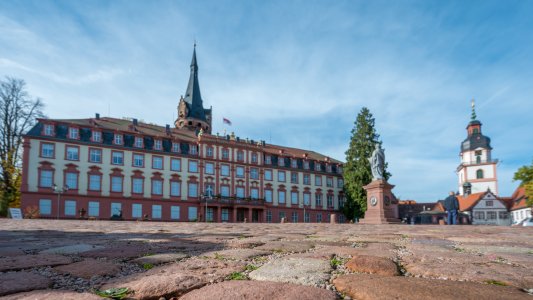 Schloss Erbach im Odenwald