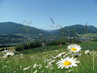 © Touristik und Stadtmarketing Olsberg GmbH
