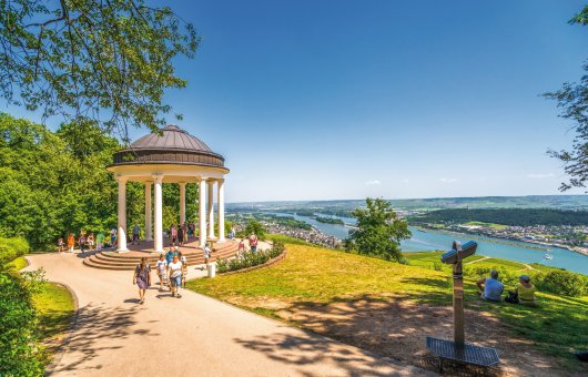 Blick vom Niederwalddenkmal auf den Rhein © pure-life-pictures-fotolia.com