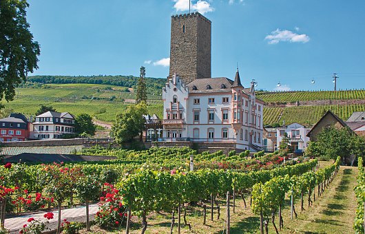 Boosenburg mit Weingärten © CityCountryMedia-fotolia.com