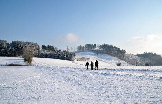 Winterlandschaft im Sauerland © elimare - stock.adobe.com